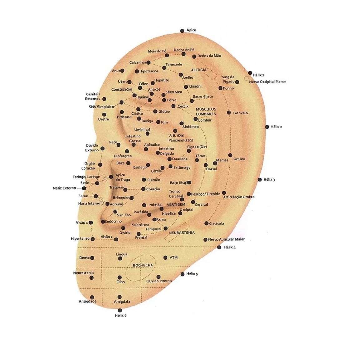 Mapa de pontos de auriculoterapia